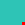 turkizna