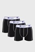 3 PACK boksaric Champion 3P_CH00081T38MJ_box_03