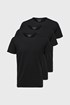 3 PACK majic Selected Homme New Pima 3p16076191_tri_03