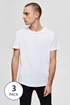 3 PACK majic Selected Homme New Pima 3p16076191_tri_04