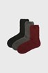 3 PACK tople nogavice Calza 3pID013_pon_17