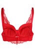 Modrček Blush, Push-up AV1794_04