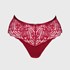 Brazilke Hey Jude D2221_kal_23