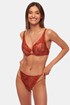 Brazilke Fire Bird FireBirdB8583_kal_05