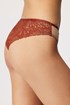 Brazilke Fire Bird FireBirdB8583_kal_10