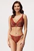 Brazilke Fire Bird FireBirdB8583_kal_11